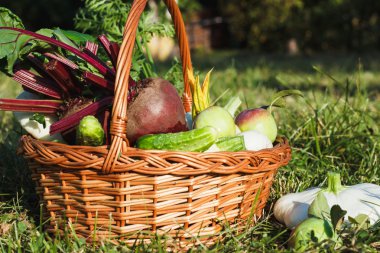 Farklı sebze sepeti havada
