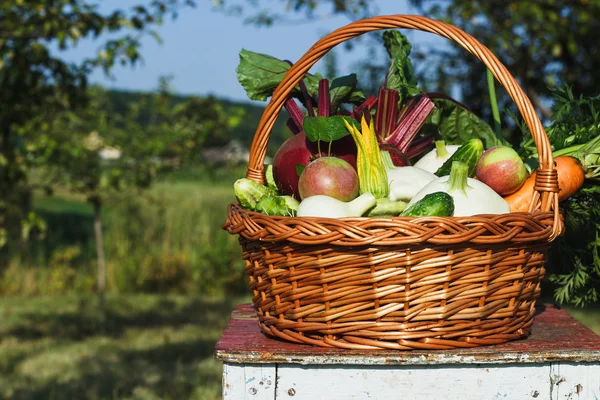 A kosár szabadban különböző zöldségek — Stock Fotó