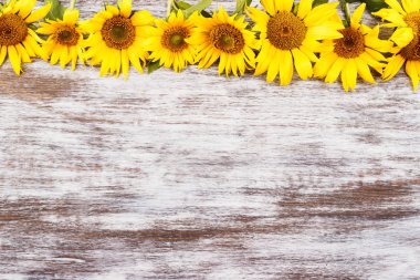 Buket ayçiçeği yönetim kurulu