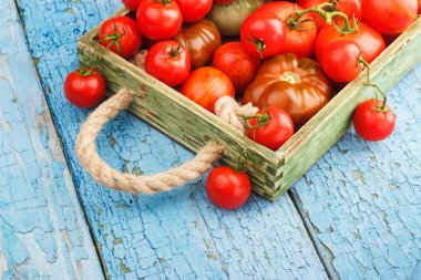 domates tür farklı set