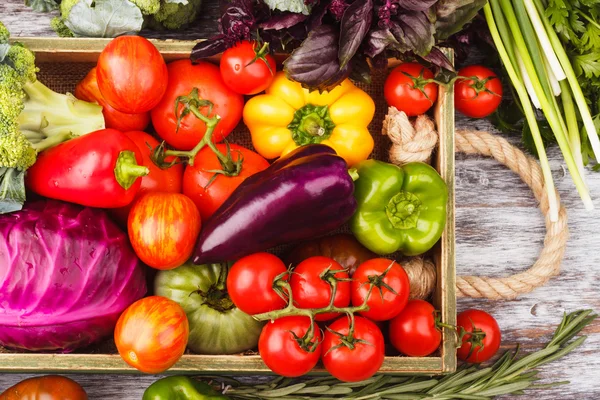 Set of vegetables in the tray — Stock Photo, Image