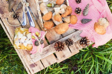 Çiğ beyaz mantar tam tepsi