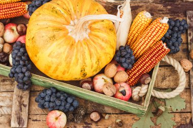 Şükran günü: farklı sonbahar sebze tepsisi