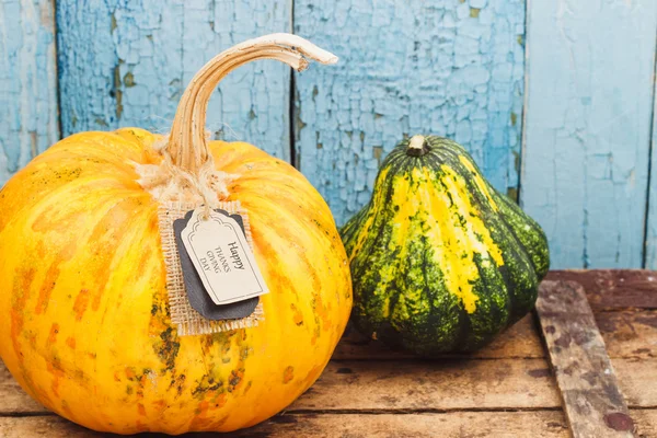 Calabaza con la etiqueta de Acción de Gracias Feliz — Foto de Stock