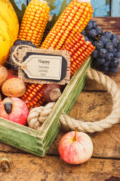 Ημέρα των Ευχαριστιών: δίσκος από διάφορα λαχανικά του φθινοπώρου — Φωτογραφία Αρχείου