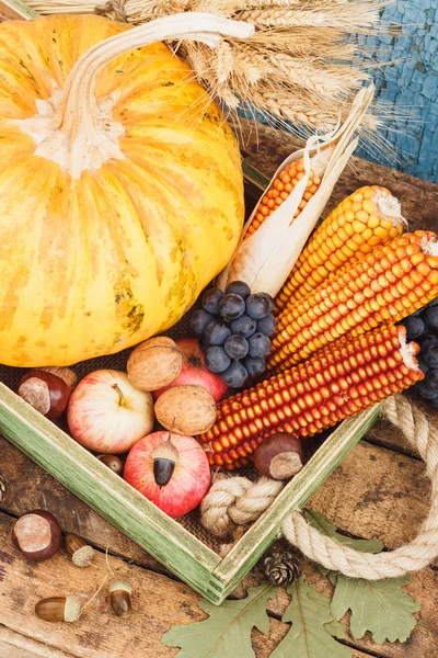 Den díkůvzdání: zásobník různých podzimní zeleniny — Stock fotografie