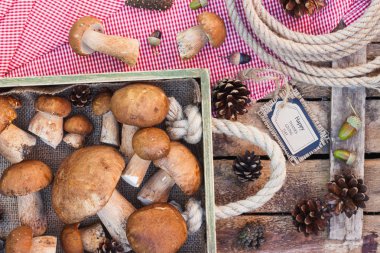 Sonbahar süslemeleri ile çiğ beyaz mantar tam tepsi