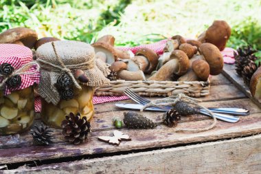 Kutusunda kuru süslemeleri ile beyaz mantar