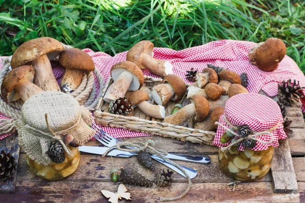 Champignons blancs dans la boîte avec des décorations sèches — Photo