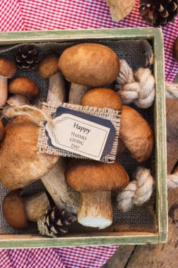 Çiğ beyaz mantar, çam kozalakları ve basit bir metin etiketi