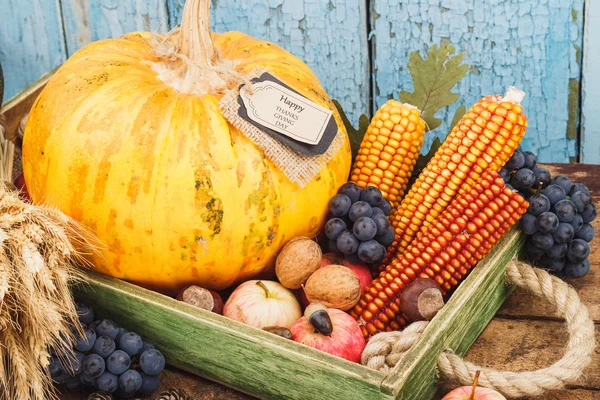 Día de Acción de Gracias: Bandeja de diferentes verduras de otoño — Foto de Stock