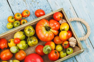 Ahşap tepside olgun domatesler, açık mavi ahşap arka plan