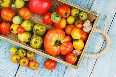 Ahşap tepside olgun domatesler, açık mavi ahşap arka plan