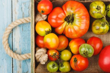 Ahşap tepside olgun domatesler, açık mavi ahşap arka plan