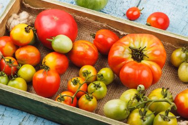 Ahşap tepside olgun domatesler, açık mavi ahşap arka plan