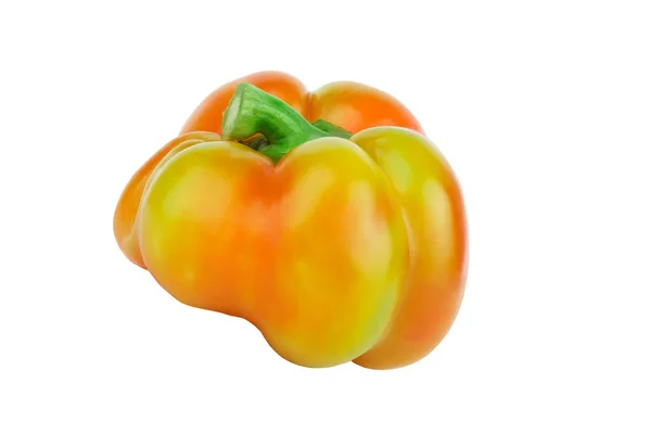 Gekleurde Rauwe Paprika Witte Achtergrond — Stockfoto