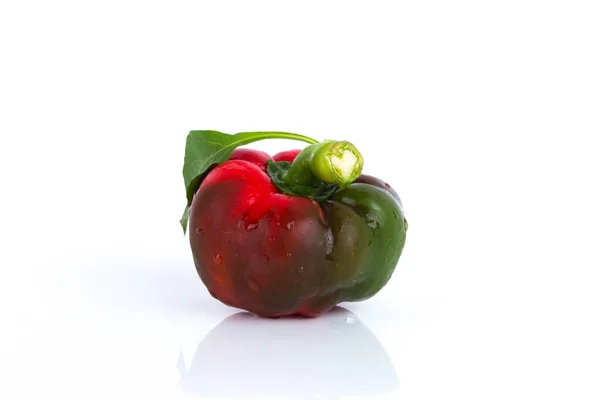 Red Raw Bell Pepper White Glossy Background — Stock Photo, Image