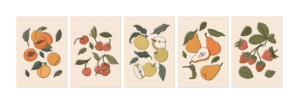 Conjunto de ilustrações vetoriais de frutos coloridos isolados em bege. Alperces ou pêssegos, morangos, peras, maçãs e cerejas, de estilo vintage. — Vetor de Stock