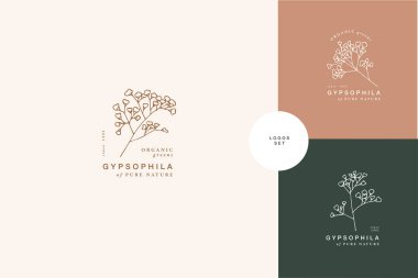 Vektör illüstrasyon gypthe branş - vintage oymalı stil. Retro botanik tarzda logo kompozisyonu