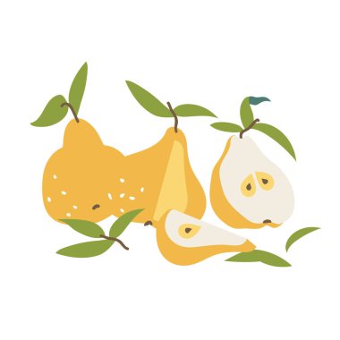 Vektör çizimi sarı armutlar. Renkli yaz meyveleri koleksiyonu