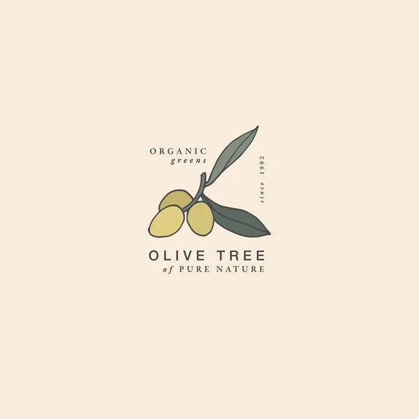 Vetor Ilustração Ramo Oliveira Estilo Gravado Vintage Composição Logotipo Estilo —  Vetores de Stock