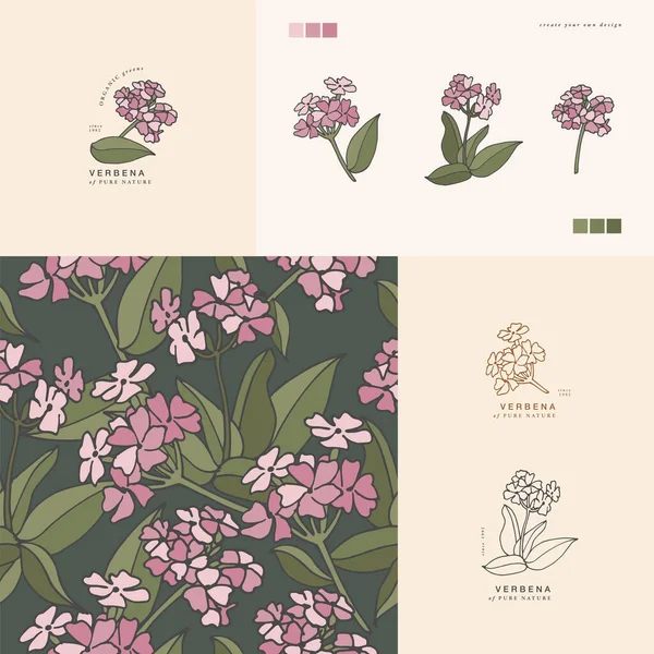 Verbena Branch Vintage Graved Style 구성은 식물학적 스타일로 바다없는 — 스톡 벡터