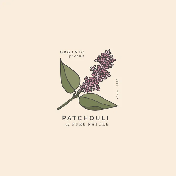 Illustration Vectorielle Branche Patchouli Style Gravé Vintage Composition Logo Dans — Image vectorielle