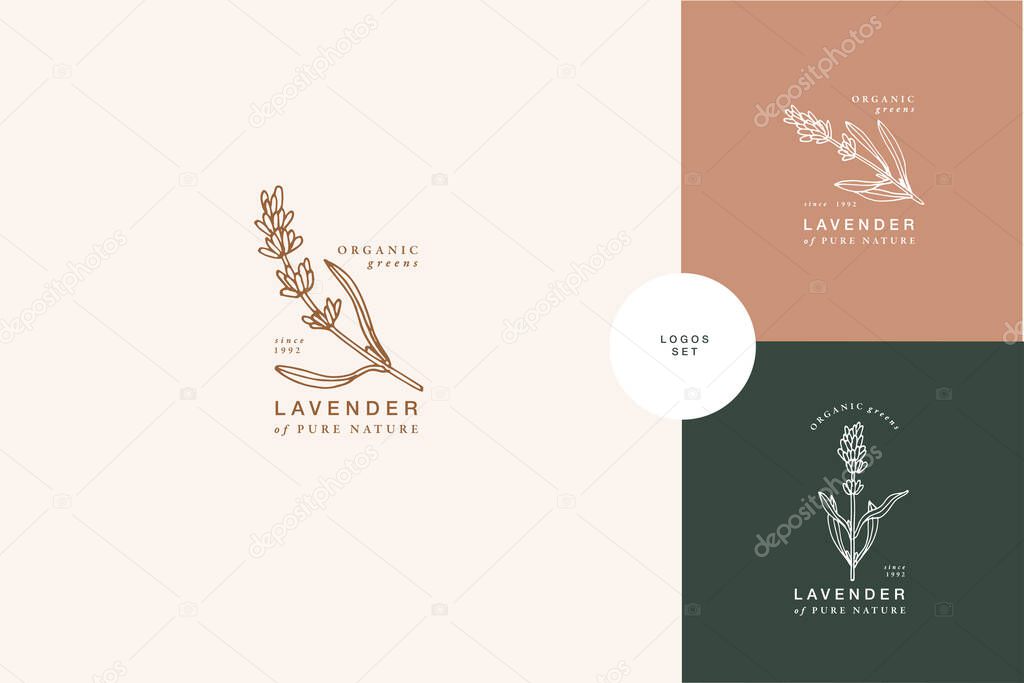 Vector illustration lavender branch - vintage engraved style. Logo composition in retro botanical style