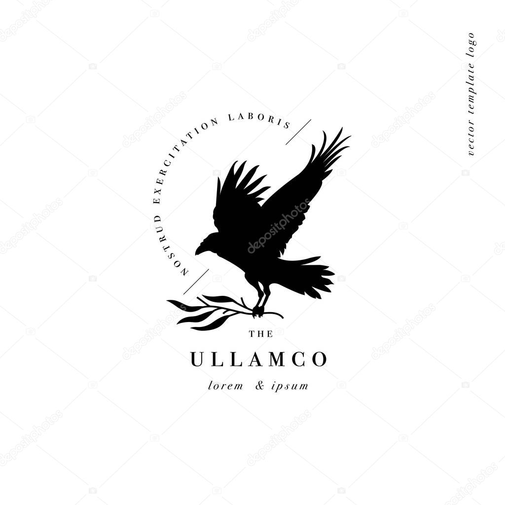 Vector design linear template logo or emblem - crow with branch. Template symbol for personal brand, psychology, astrology and esoteric