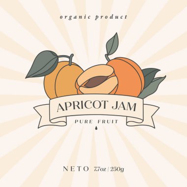 Kayısı meyveli vektör illüstrasyon retro tasarım etiketi - basit doğrusal stil. Meyve ve tipografi içeren amblemler