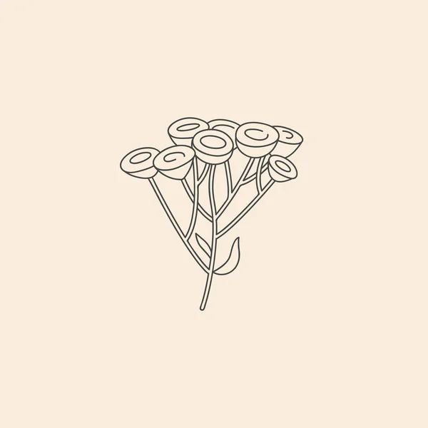 Vector Linear Botanical Icon Symbol Tansy — 스톡 벡터