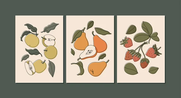 Conjunto Ilustración Vectorial Frutas Coloridas Aisladas Beige Albaricoques Melocotones Estilo — Archivo Imágenes Vectoriales
