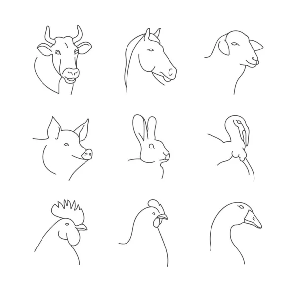 Vector Set Linear Illustration Heads Farm Animals Isolated White Background — Stock Vector