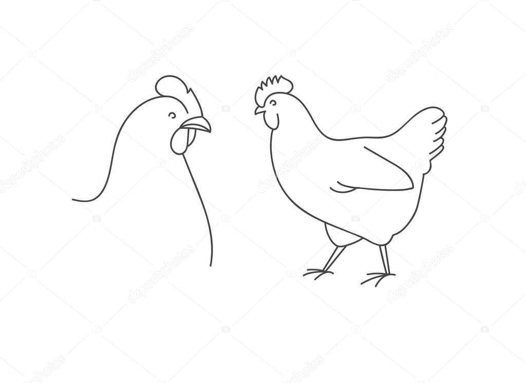 Vector linear illustration farm animal - chicken isolated in white background
