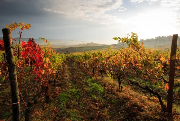 Tuscany landscape  in autumn — Stock Photo, Image