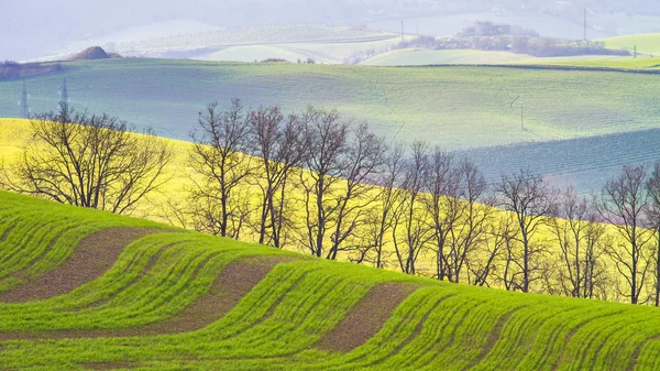 Val d'Orcia landscape — Stock Photo, Image