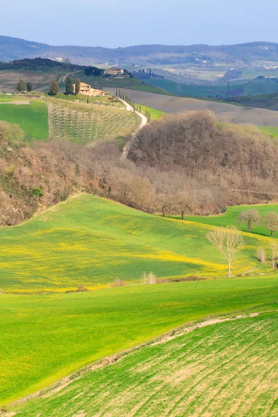 Val d'orcia landschap — Stockfoto