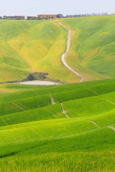 Val d'Orcia landscape — Stock Photo, Image