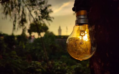 Ağaçta asılı elektrik ampulü. Akşam günbatımında ışıldadı.