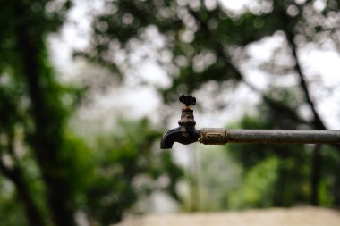 Himalayalar 'ın orman arkaplanındaki su musluğu (musluk) bağlantısı.