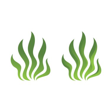 yosun denizi doğanın logo vektör çizimi tasarımı