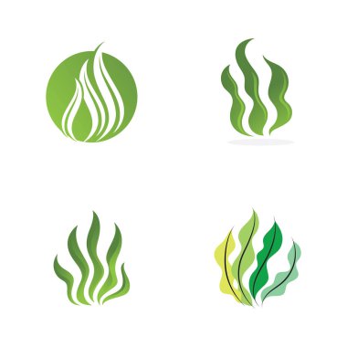 yosun denizi doğanın logo vektör çizimi tasarımı