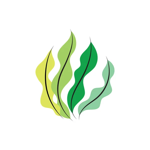 yosun denizi doğanın logo vektör çizimi tasarımı