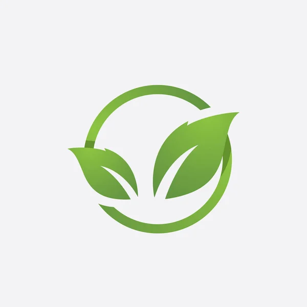 Folha Verde Elemento Ecológico Ícone Vetor Logotipo — Vetor de Stock