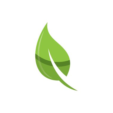 Yeşil yaprak doğa elementi ekoloji vektör tasarımı