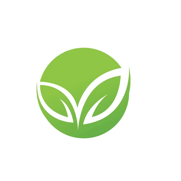 Árvore Verde Folha Ecologia Vetor — Vetor de Stock