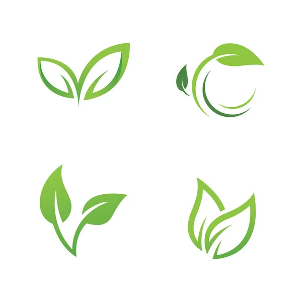 Verde Árbol Hoja Ecología Vector — Vector de stock