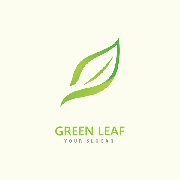 Green Leaf Logo Icon Vector Template — Stock Vector