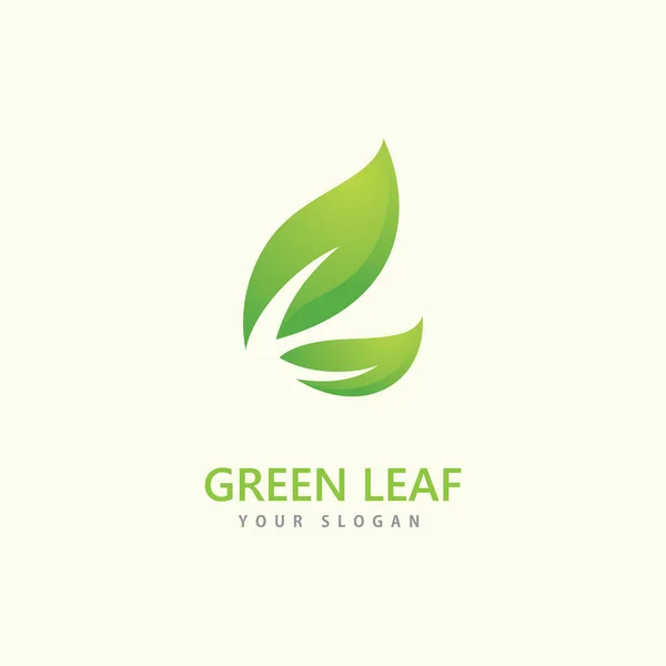 Green Leaf Logo Icon Vector Template — Stock Vector