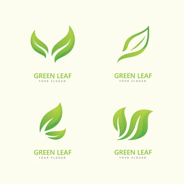 Hoja Verde Logotipo Icono Vector Plantilla — Vector de stock